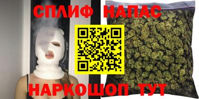 мяу мяу мука Будённовск
