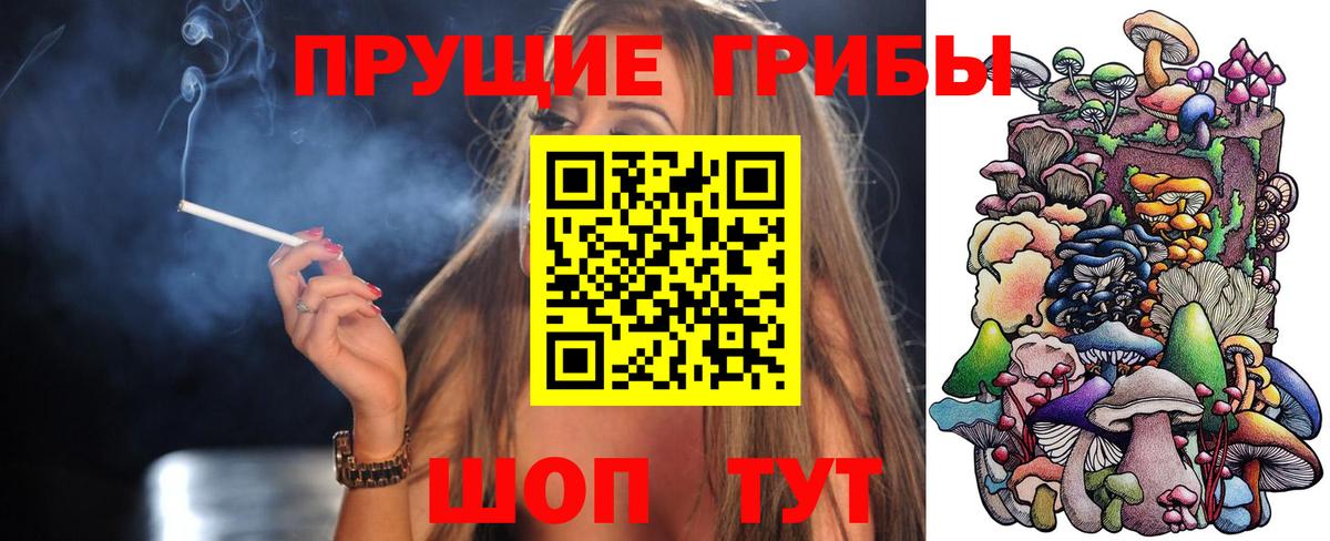 Псилоцибиновые грибы Psilocybine cubensis Отрадный