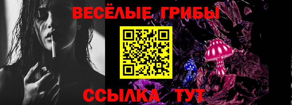 Псилоцибиновые грибы MAGIC MUSHROOMS  Вход с VPN  Отрадный 
